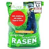 Rasensamen schnellkeimend Schattenrasen 2,5kg = 70m² Herbst - SEHR GUT getestet - trockenresistent | Rasen...